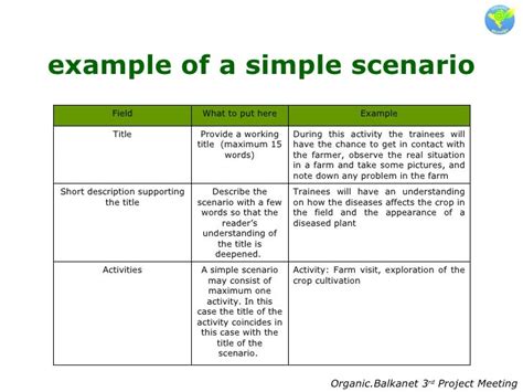 example of a scenario.